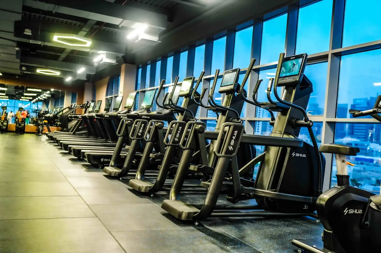 Treadmills · steppers · skyline windows